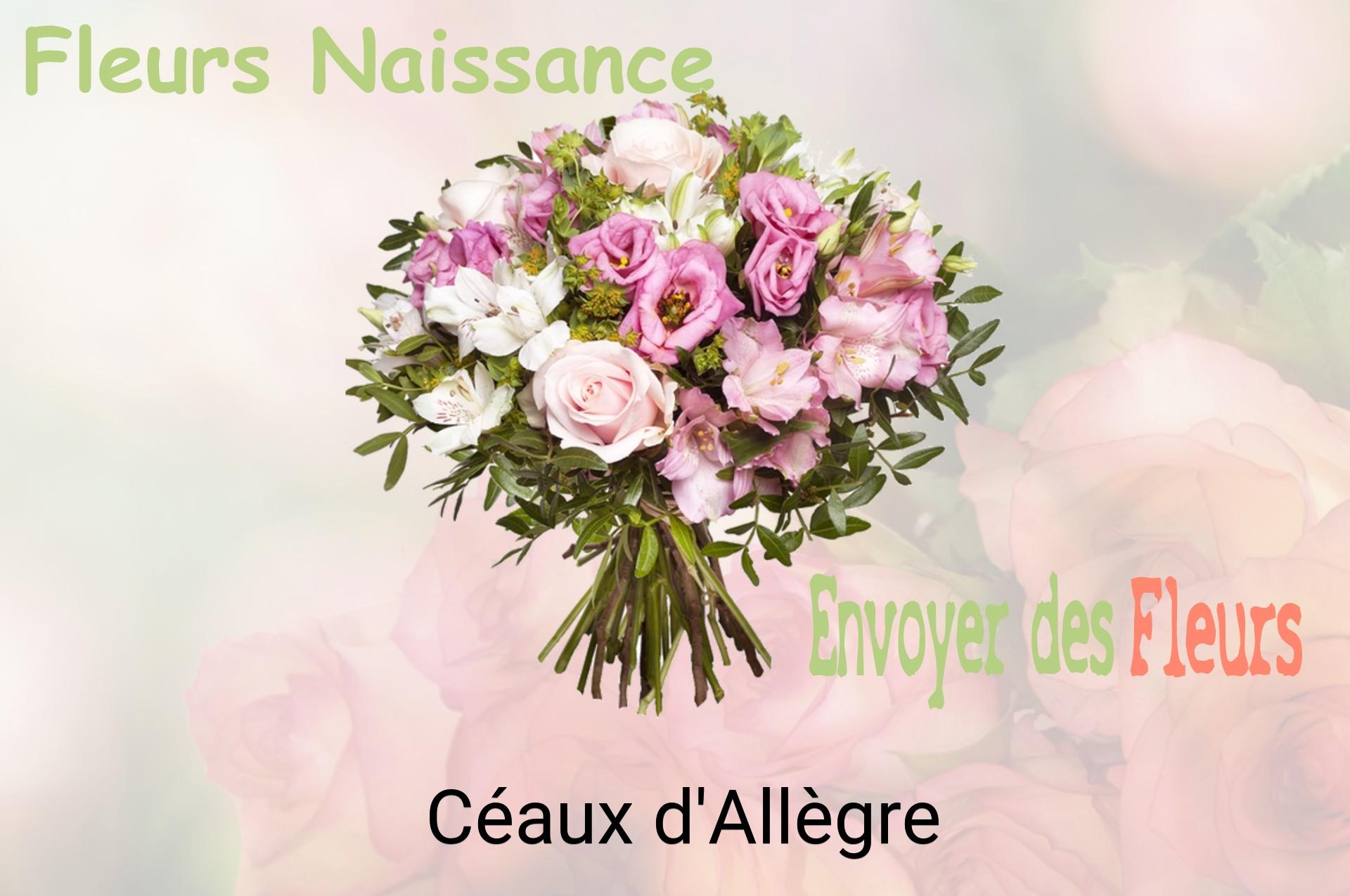 Bouquet de fleurs de naissance livré à Céaux-d'Allègre